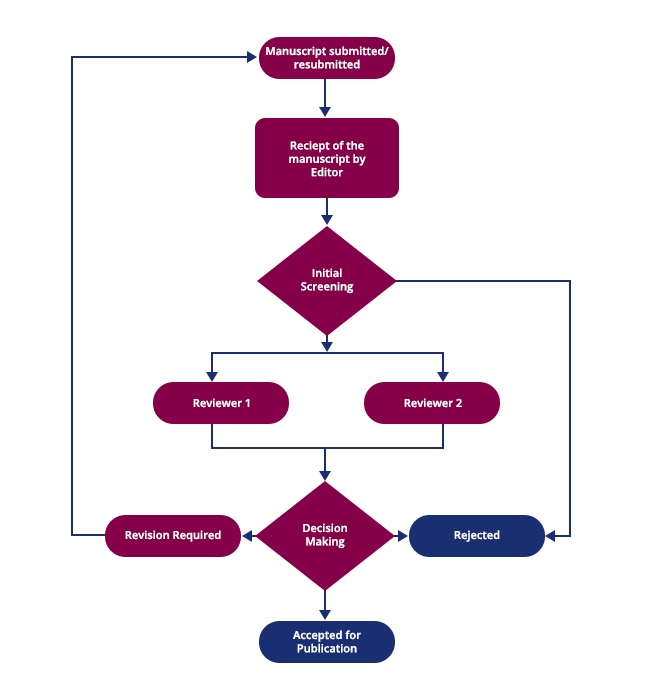 Peer Review Process